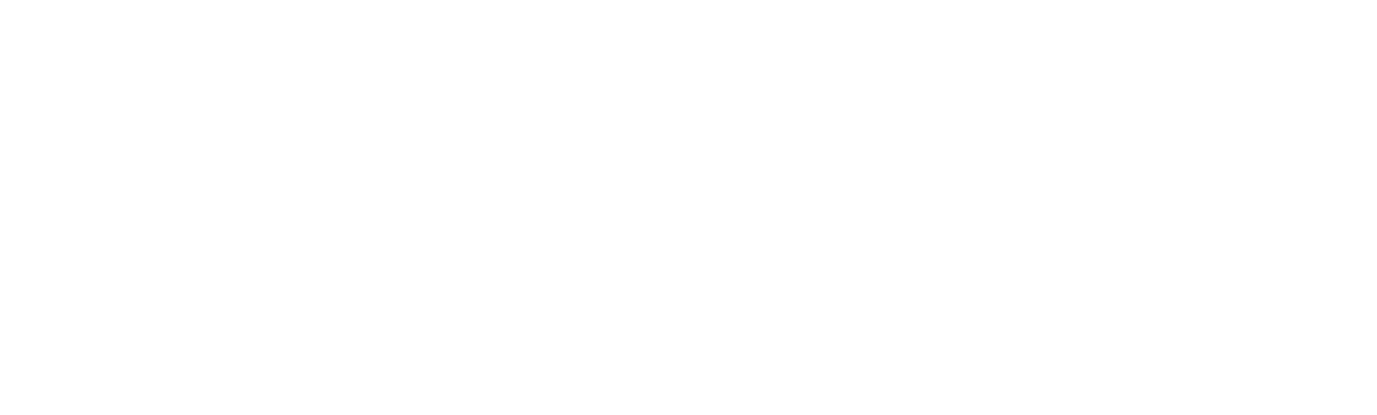 Saro Gastro-Products